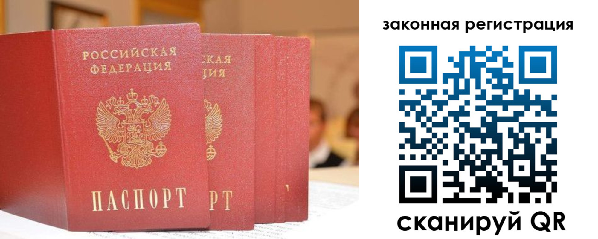 прописка поиск в Дубне